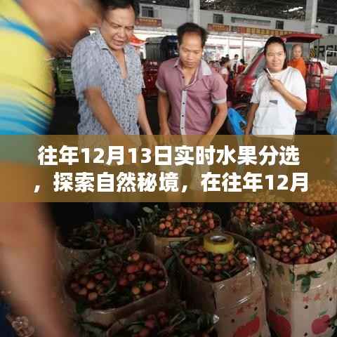 探索自然秘境，水果盛宴中的寧靜與平和體驗