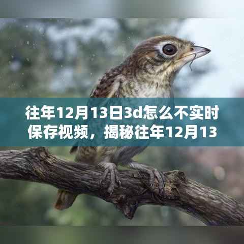 揭秘，為何往年12月13日3D技術未能實時保存視頻的背后真相