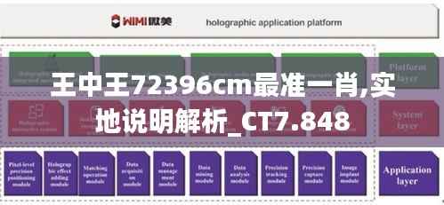 王中王72396cm最準一肖,實地說明解析_CT7.848