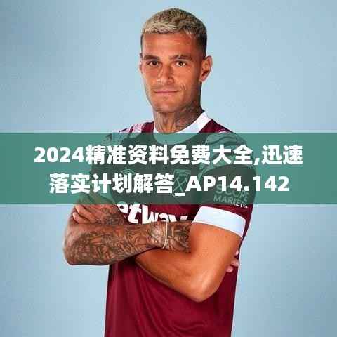 2024精準資料免費大全,迅速落實計劃解答_AP14.142