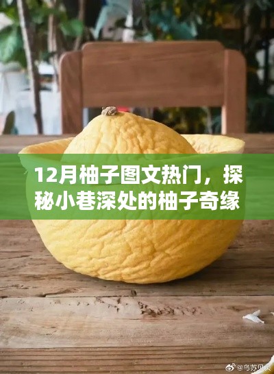 探秘柚子奇緣，隱藏版柚子主題小店的獨特魅力，12月柚子圖文熱門