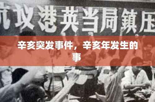 辛亥突發事件，辛亥年發生的事 