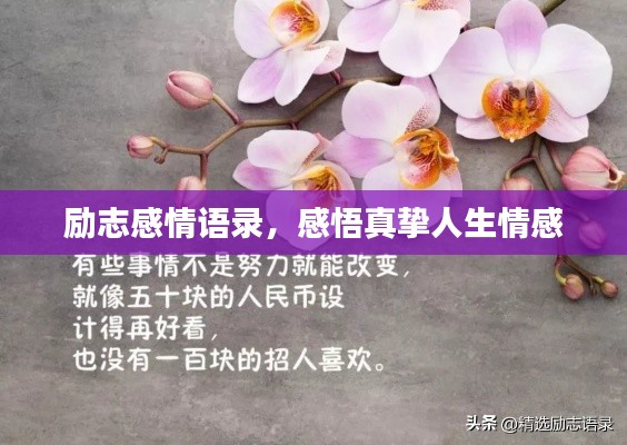 勵(lì)志感情語(yǔ)錄，感悟真摯人生情感