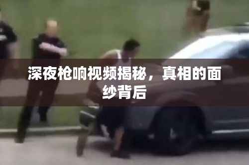 深夜槍響視頻揭秘，真相的面紗背后