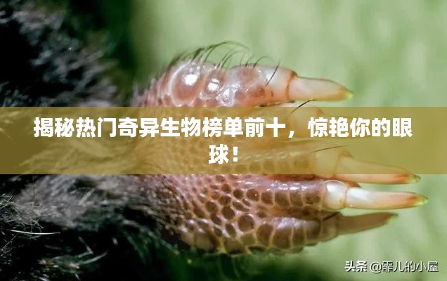 揭秘熱門奇異生物榜單前十，驚艷你的眼球！