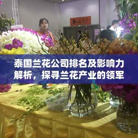 泰國蘭花公司排名及影響力解析，探尋蘭花產業的領軍者
