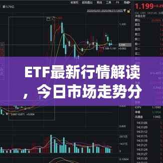 ETF最新行情解讀，今日市場走勢分析