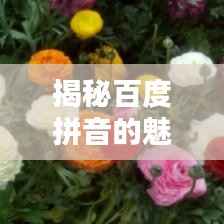 揭秘百度拼音的魅力，一鍵探索全面精準(zhǔn)的拼音查詢