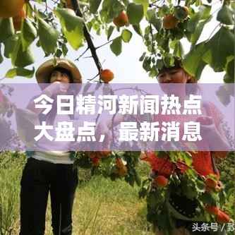今日精河新聞熱點大盤點，最新消息綜述