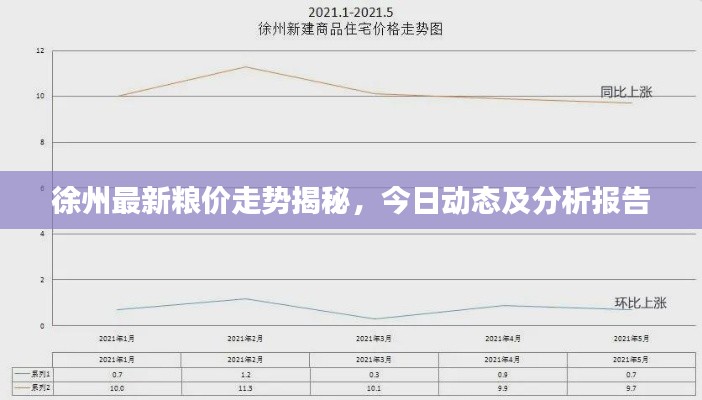 徐州最新糧價走勢揭秘，今日動態及分析報告