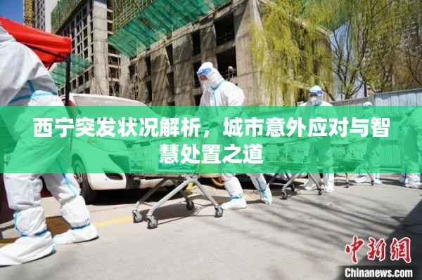 西寧突發狀況解析，城市意外應對與智慧處置之道