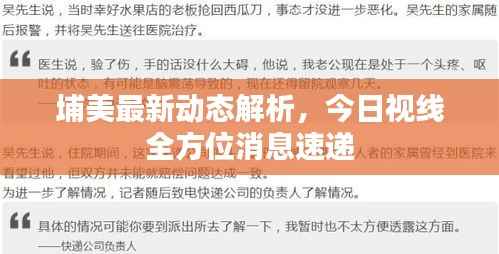 埔美最新動態解析，今日視線全方位消息速遞