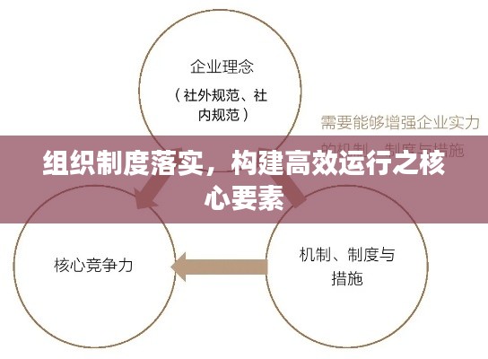 組織制度落實，構(gòu)建高效運行之核心要素